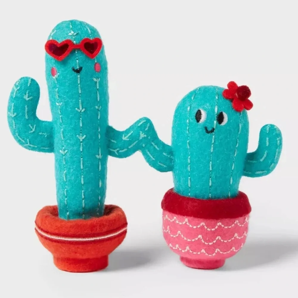 5 for $15 -  Target 🌵Spritz Valentines 2025 Cactus